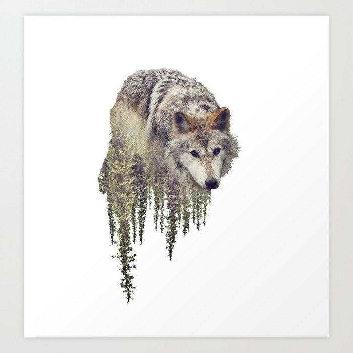 Download 560 Koleksi Background Art Wolf HD Paling Keren