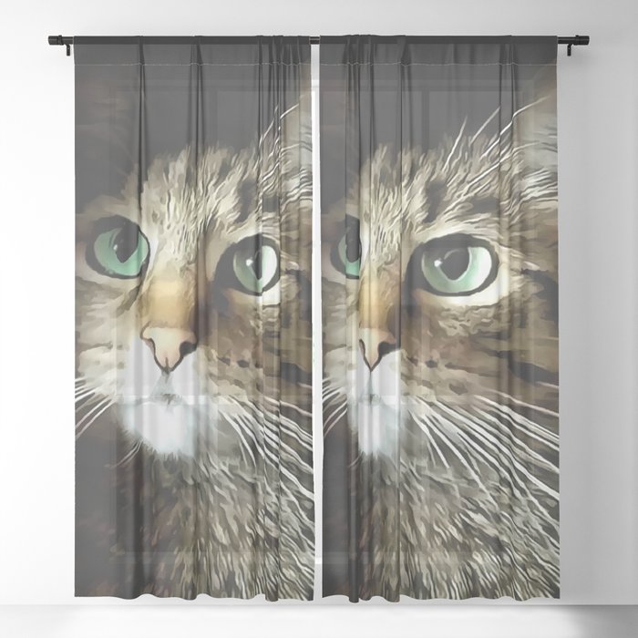 Tabby Cat With Green Eyes Isolated On Black Sheer Curtain
