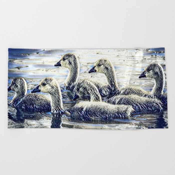 Baby Swans Beach Towel