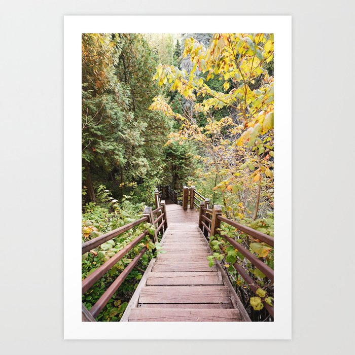 Stairs in the Forest Art Print