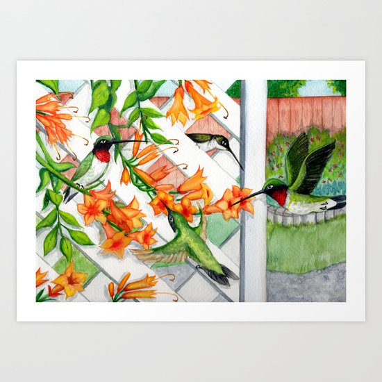 Hummingbirds and Trumpet Vines Art Print