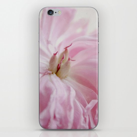 inside iPhone & iPod Skin