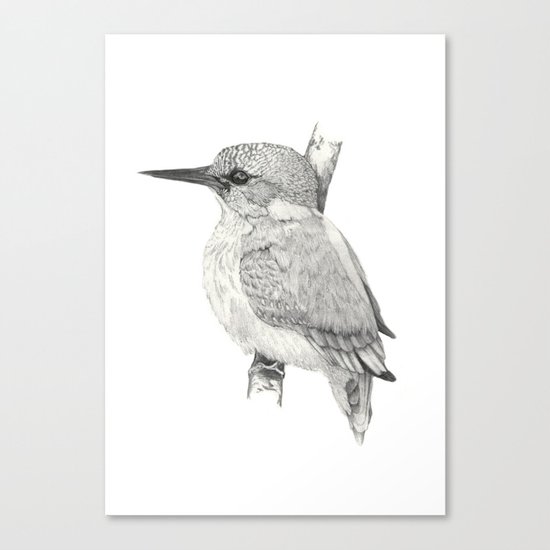 Kingfisher Canvas Print