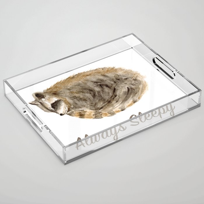 Always Sleepy Raccoon Acrylic Tray