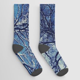 Dark Snow Laden Trees of the Scottish Highlands Socks