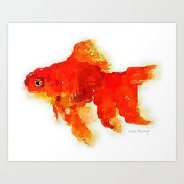 Sleeping Goldfish Watercolor Painting Art Print