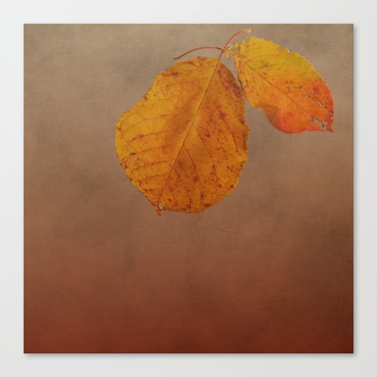 Fall leaves of an Apple tree Canvas Print