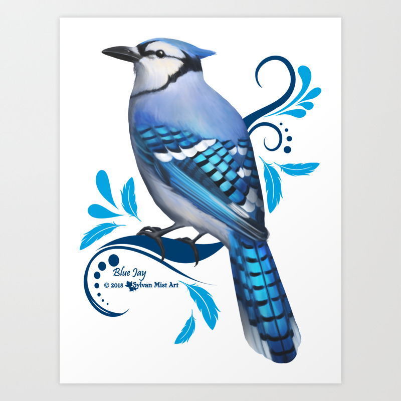 Blue Jay Art Print By Sylvan Mist Art Society6