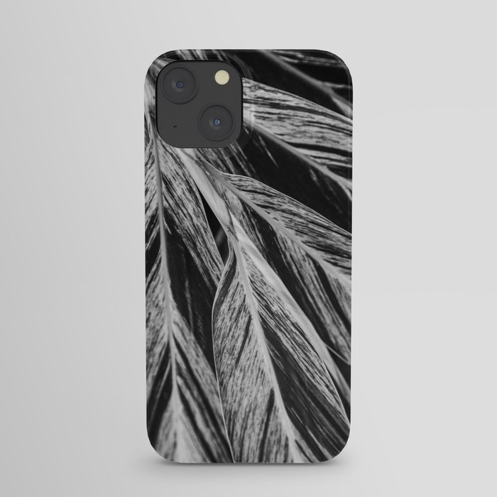 Striped Leaves  |  The Houseplant Collection iPhone Case