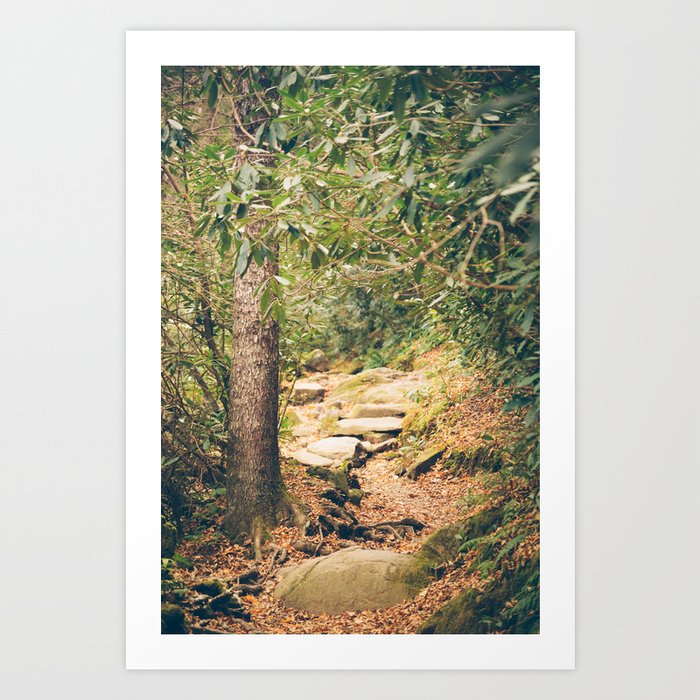 Appalachian Trail Art Print by GF Fine Art Photography Society6