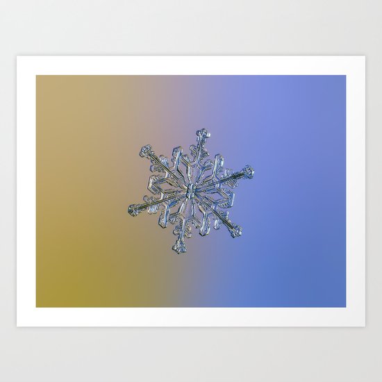 Snowflake Macro Photo - 13 February 2017 - 2 alt Art Print