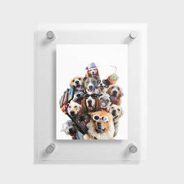 Dog Selfie Dogs Floating Acrylic Print