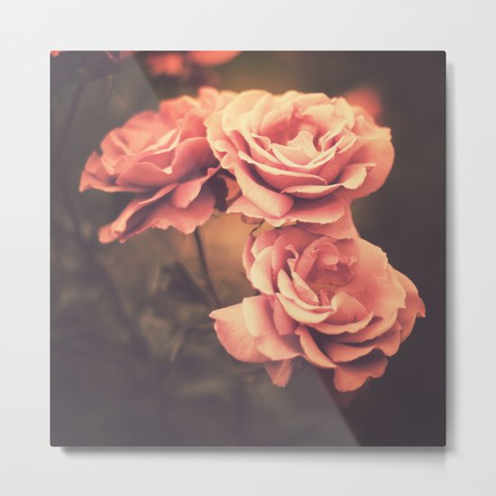 Three Pink Roses (Vintage Flower Photography) Metal Print