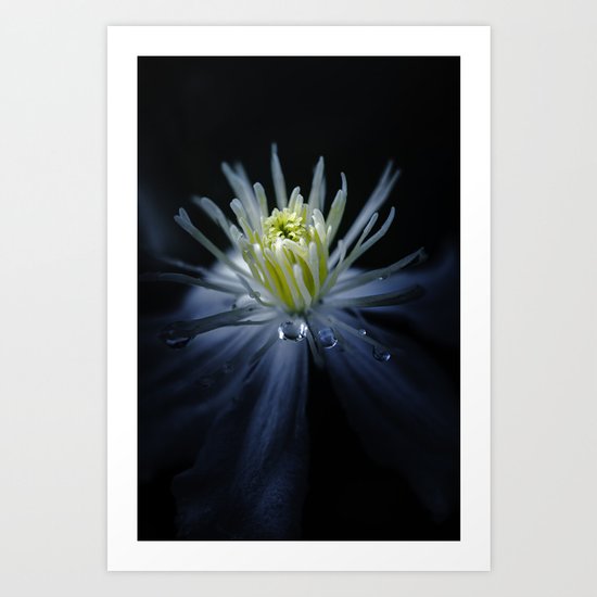 Release me Art Print