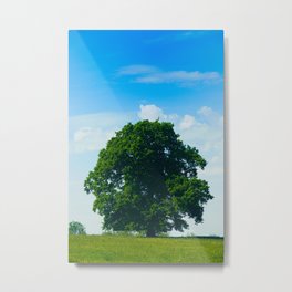 Summer Tree Metal Print