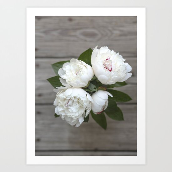 Peonies For You - White Art Print