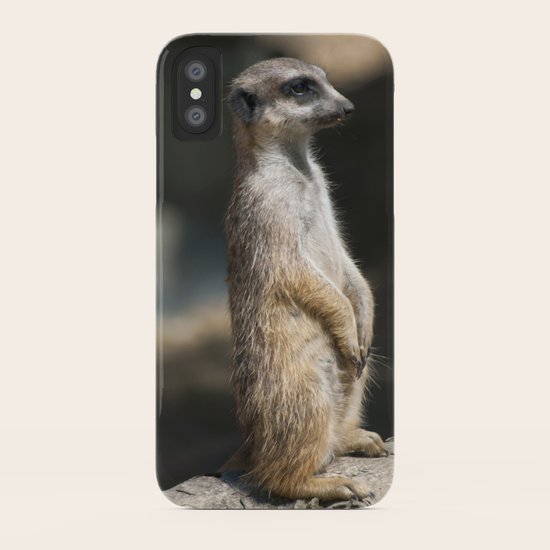 Meerkat iPhone Case