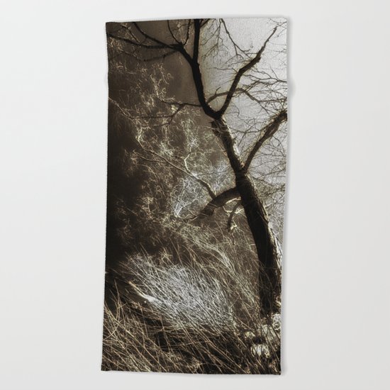 Beyond The Eyes Beach Towel