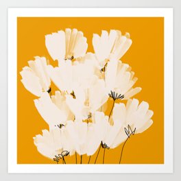 Morgan harper nichols tapestry clearance