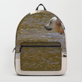 Female Golden Retreiver Playing Beach  Backpack