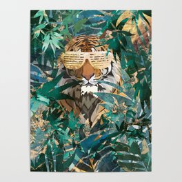 Tiger in the Gold Jungle wearing hip hop sunglasses Poster