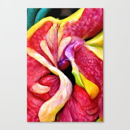 Orchid Fable 2 Canvas Print