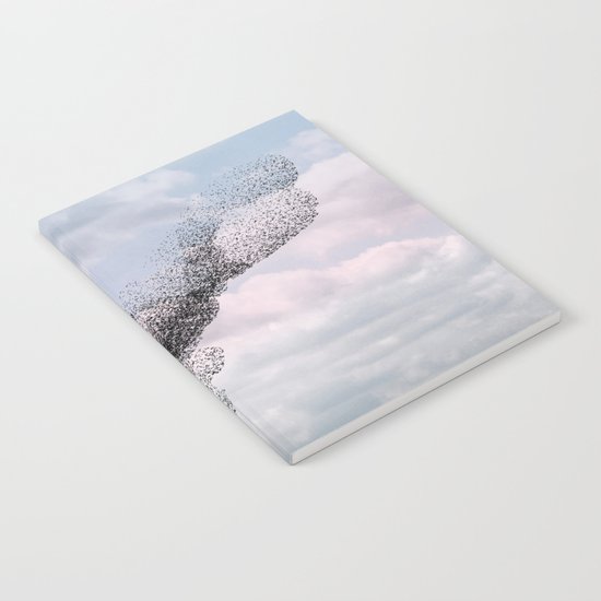Swooping and looping version 2 Notebook