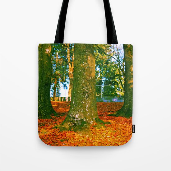 Autumn beauty Tote Bag