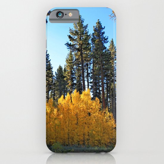 Fall Foliage iPhone & iPod Case