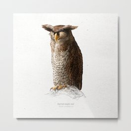 Barred eagle owl art print Metal Print