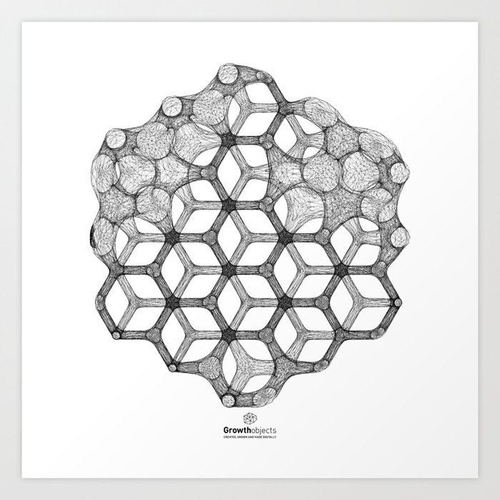 hexagons in nature