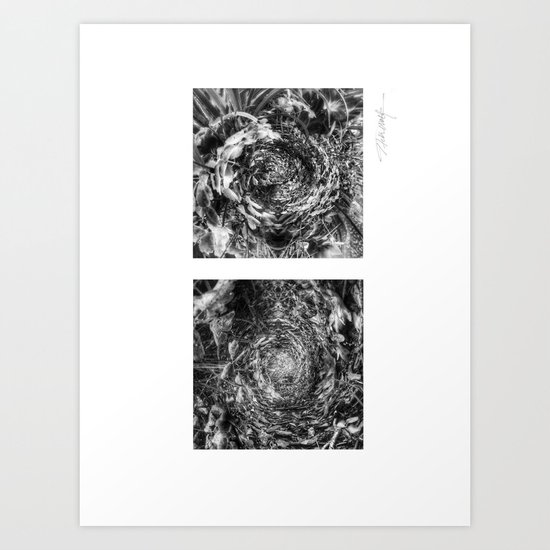 Nature's Twisted Path Black and White Art Print