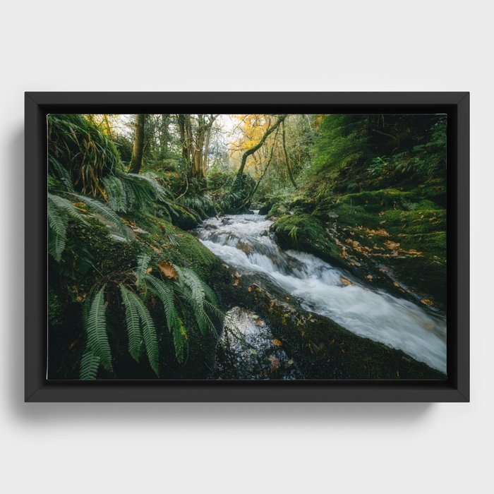 Ireland - Wild River in Wicklow Mountains (RR04) Framed Canvas