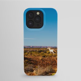 Wild Horses in the Desert iPhone Case