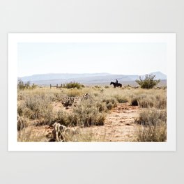 on a horse with no name Art Print