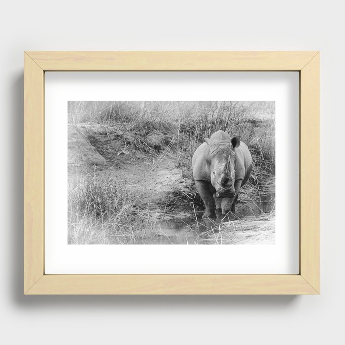 To the brink of extinction Recessed Framed Print