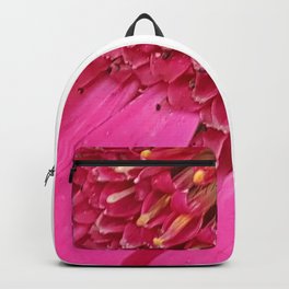 Pink Sunburst Backpack