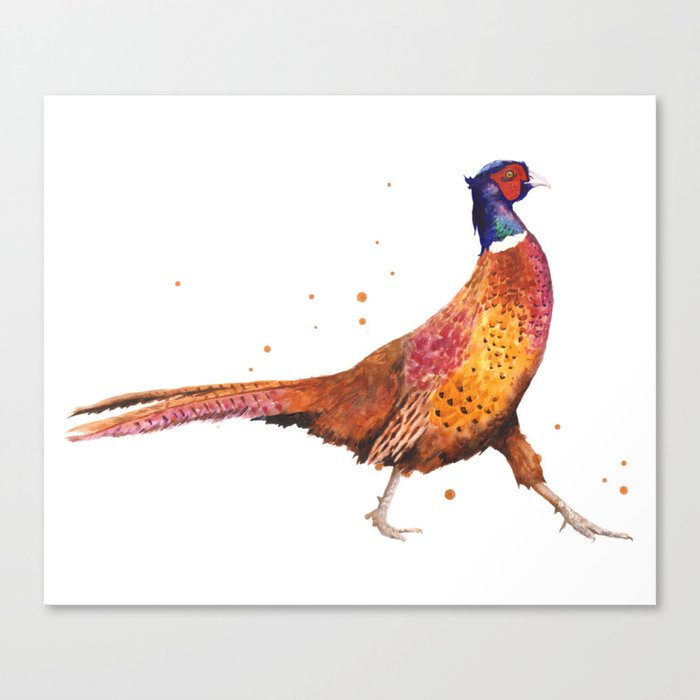 Pheasant Strut Canvas Print