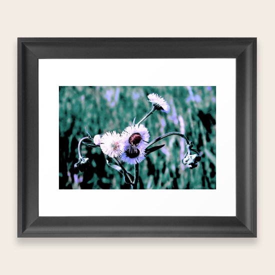 dainty Framed Art Print