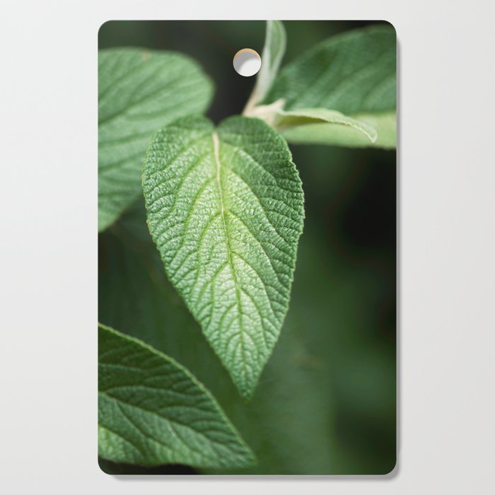 Textured Sage Leaf Cutting Board
