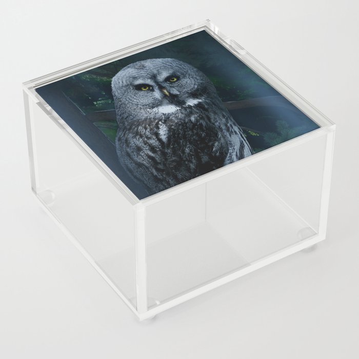 Ghost of the Forest Acrylic Box
