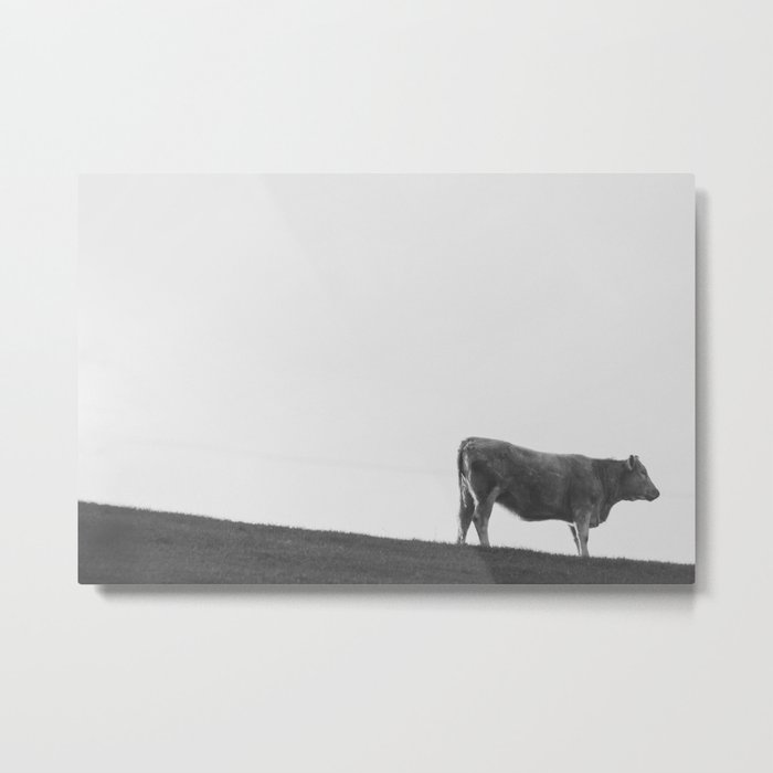 Cow on the Lean Metal Print