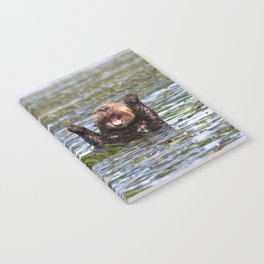 Otters Notebook | Pearl, Sea Otter, Octopus, Otter, Otters, Clam, Cute, Urchin, Crab, Seaweed 