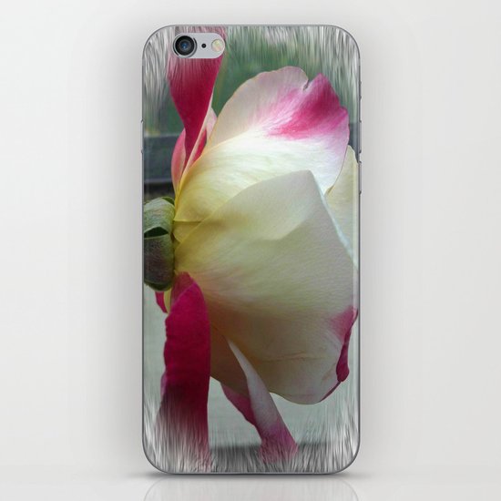 White Rose iPhone & iPod Skin
