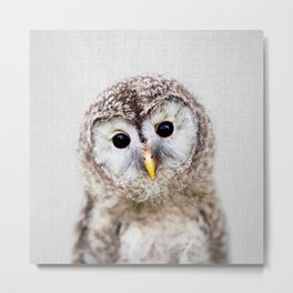 Baby Owl - Colorful Metal Print | Owl, Forest, Children, Nature, Photo, Minimalism, Peekaboo, Color, Feathers, Portrait 