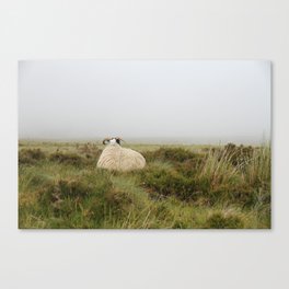 This is Scotland Canvas Print