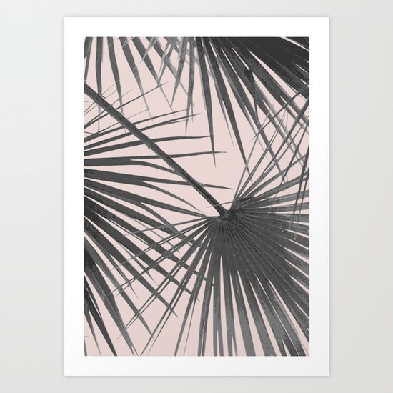 Palm web Art Print