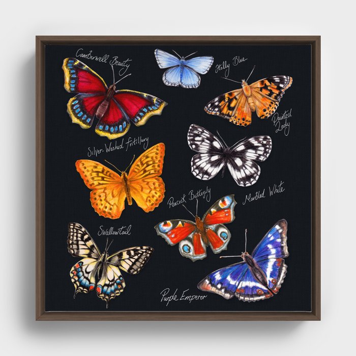 Butterflies On Black Framed Canvas