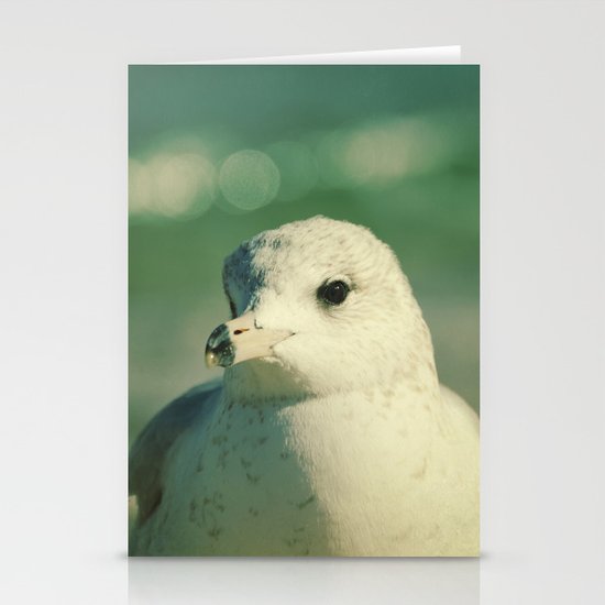 Seagull Close Up Stationery Cards