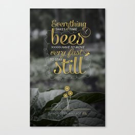 David Foster Wallace on Bees  Canvas Print